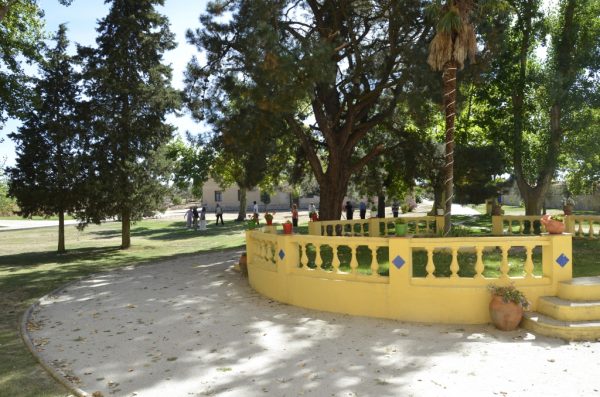 Image Alt
